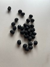 Lot de 50 graines de palmier