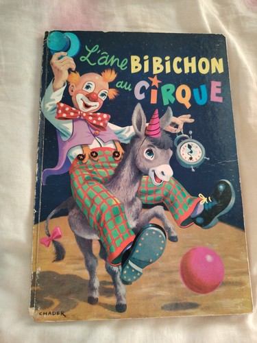 Livre ane bibichon au - livre,