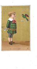 Antique Chromo Advertising Gold Background Boy Parrot Dijon H. 11.5 cms