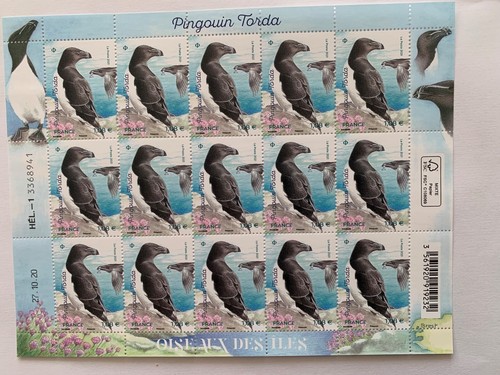 Feuillet france pingouin - feuillet,