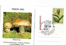 THIENE 2003 RUSSULA FETENS MUSHROOMS MUSHROOM MUSHROOM MUSHROOM MUSHROOMS VICENZA TH