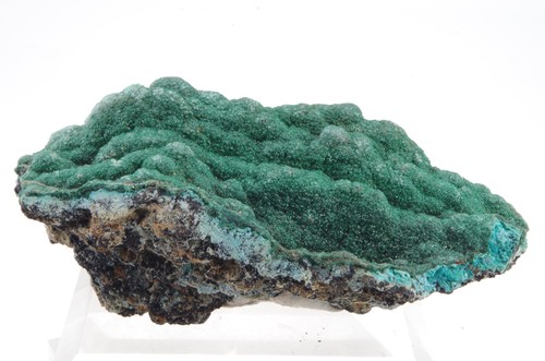 Malachite chrysocolle congo - malachite, chrysocolle,