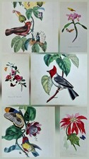  6 Gravures originales 1842