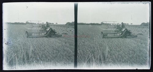 C1935 photo negative vintage - photo,