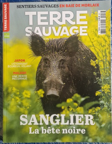 Terre sauvage 418 - terre,