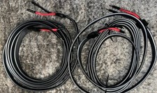 Wireworld Silver Eclipse 6 Référence speaker cable PAIR (2) SPEAKER  AUDIOPHILE