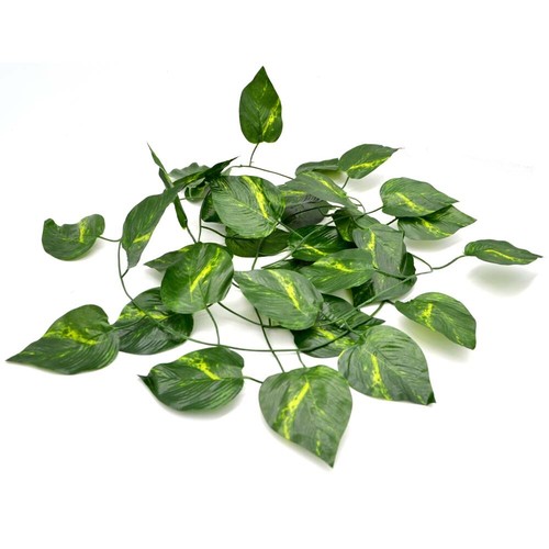 Jungle reptile vine for - jungle,