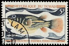 CHAD 220 - Puffer Fish "Tetraodon fahaka strigosus" (pf60707)