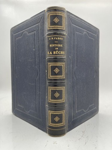 Histoire bûche récits - la,