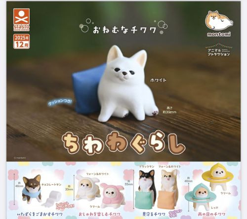 Chihuahua living dog set