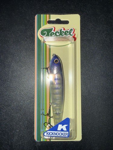 Teckel kicknocker pup baby - /,