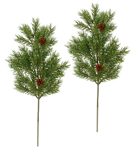 Lot branches de sapin - lot,