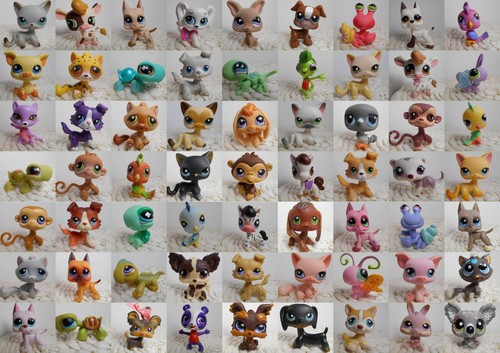 Lps littlest petshop pet - petshop, shop