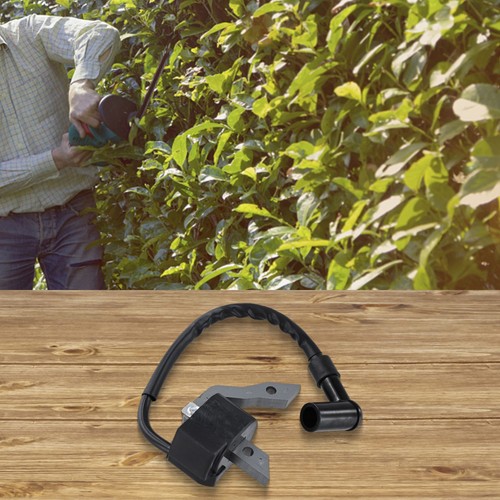 Bobine allumage remplace - d'allumage,