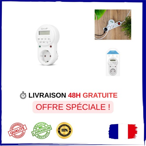 Prise programmable numérique