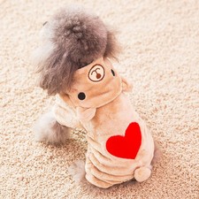  Vêtements Pour Chihuahuas