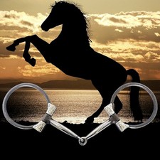 Mors À Limites En Argent