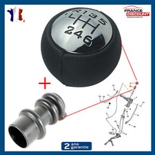 Pommeau de Vitesse 6