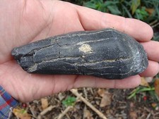 4.548 inch MEG SNACK Georgia