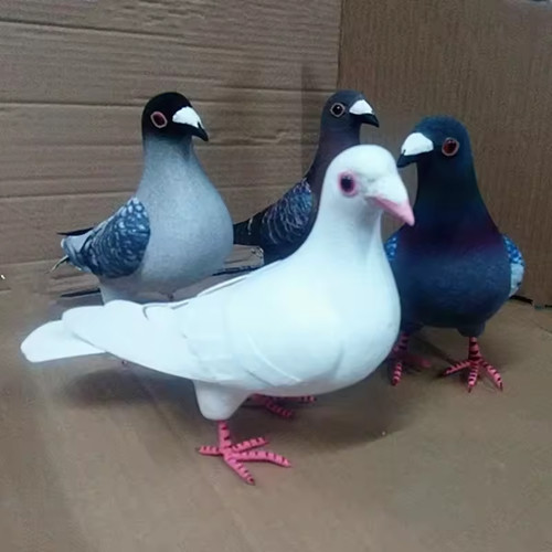 Modèle pigeon mousse - pigeon,