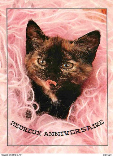 Carte postale animaux - -,