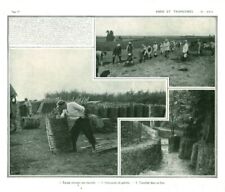 Antique War 14/18 Drunk Gabion Making Team Document 1916