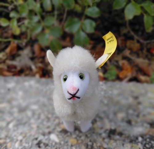 Mouton steiff modèle - steiff,