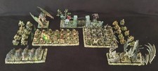 Warhammer TOW Armée comtes