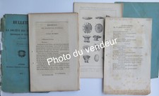 Paléontologie (coraux)