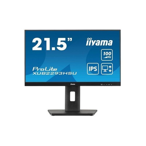 Ecran iiyama 21 - ecran,