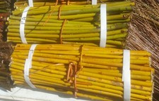 50 boutures en d'osier de 2