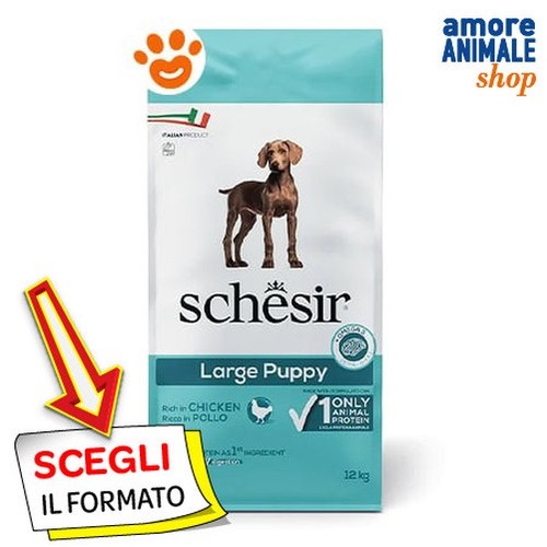 Schesir chiens grand - schesir,