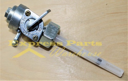 Hammerhead 150cc 250cc - 150, 250