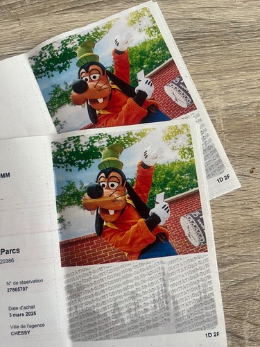 Billets disneyland paris - disneyland,