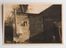 Petite tête cachée fenêtre