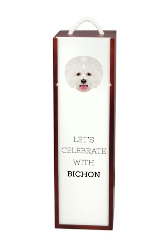 Bichon frisé tenerife - bichon, dog