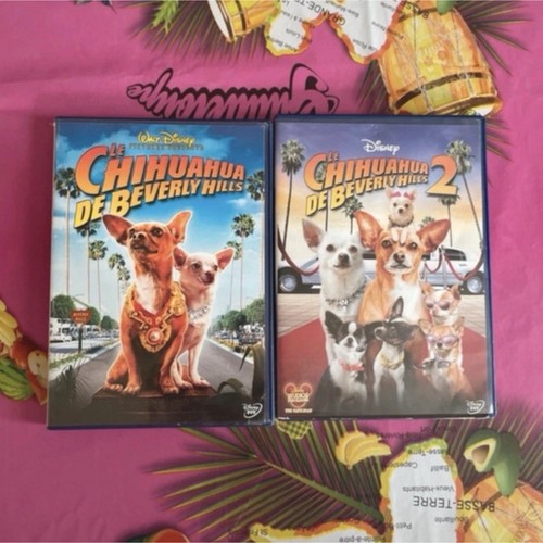 Disney chihuahua beverly - chihuahua,