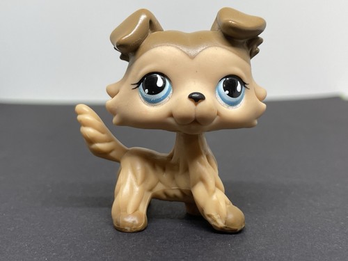 Littlest petshop lps 893 - petshop,