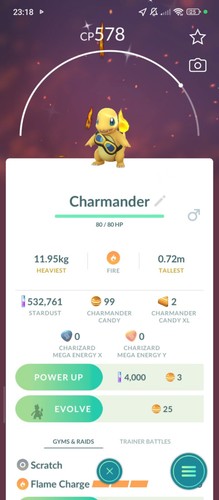 Charmander friede goggles - friede's,
