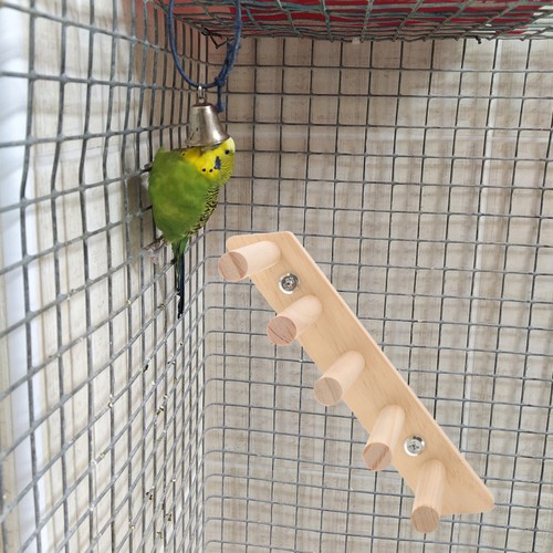 échelle pour cage - ,