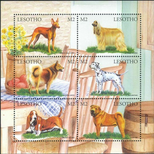 Lesotho 1999 dalmatien - 1999,