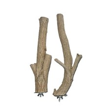 Birds LOVE Bottlebrush Thai