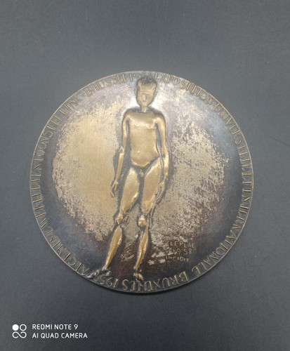Médaille bronze exposition - bronze,