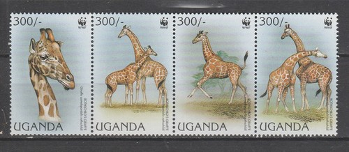 Thr wwf ouganda faune - wwf,
