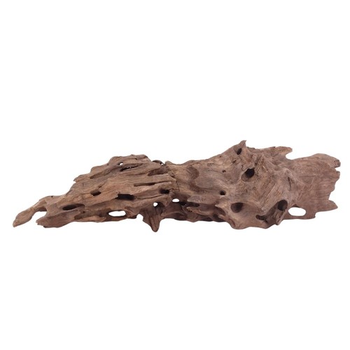 Aquaone racine mangrove - aquaone,