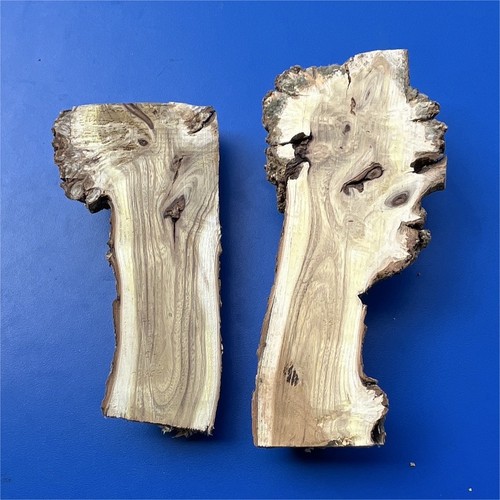 Lot ébauches bois - lot,