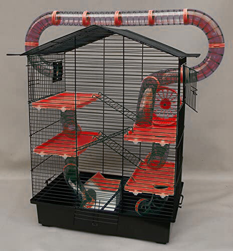 Cage rongeur xxl avec - xxl,