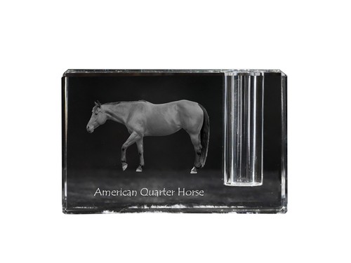 American quarter horse - quarter,