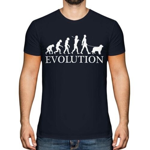 Australien berger evolution - australien,