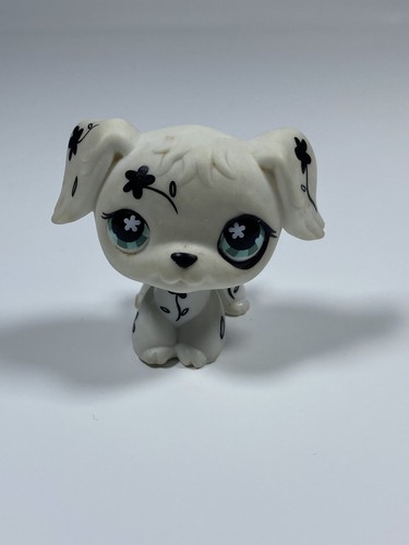 Petshop chien dalmatien - -,